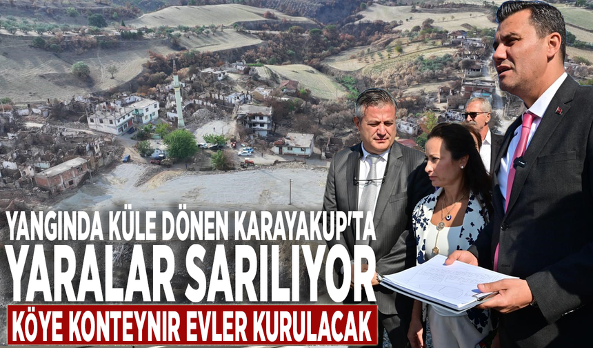 Yangında küle dönen Karayakup'ta yaralar sarılıyor: Köye konteynır evler kurulacak