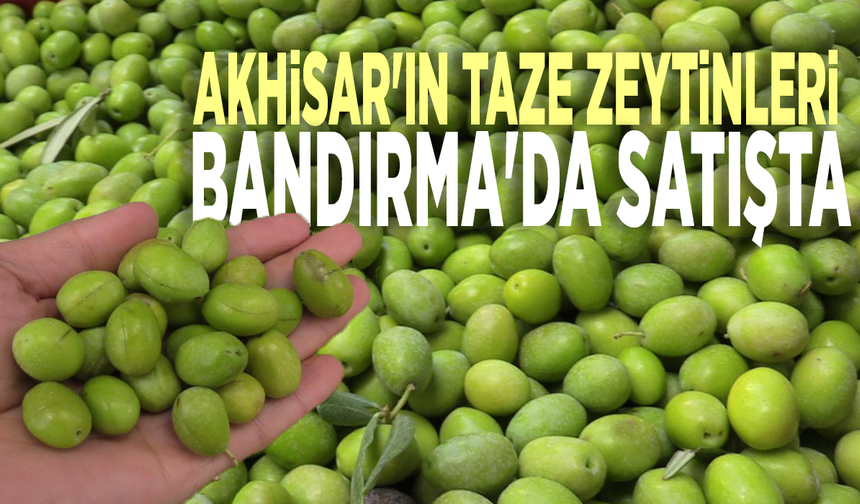 Akhisar'ın taze zeytinleri Bandırma'da satışta