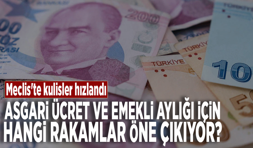 Asgari ücret ve emekli aylığı için hangi rakamlar öne çıkıyor?