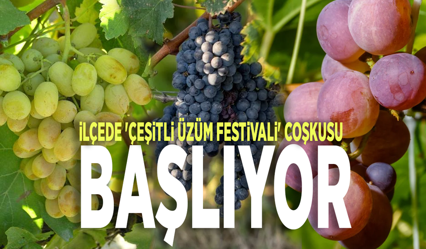 İlçede 'Çeşitli Üzüm Festivali' coşkusu başlıyor