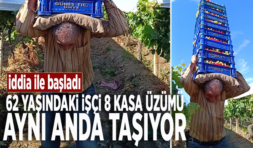 İddia ile başladı: 62 yaşındaki işçi 8 kasa üzümü aynı anda taşıyor