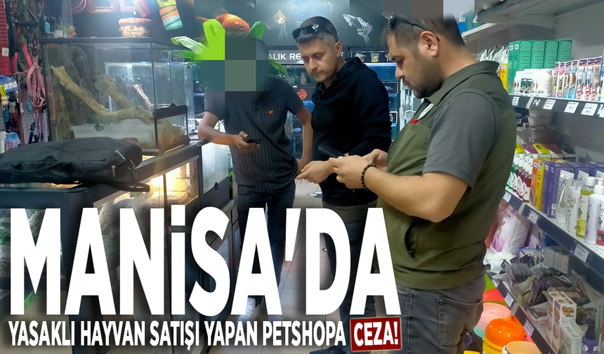 Manisa'da yasaklı hayvan satışı yapan petshopa ceza!