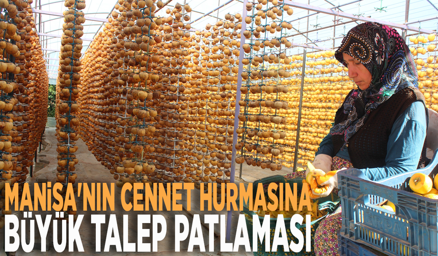 Manisa'nın cennet hurmasına büyük talep patlaması