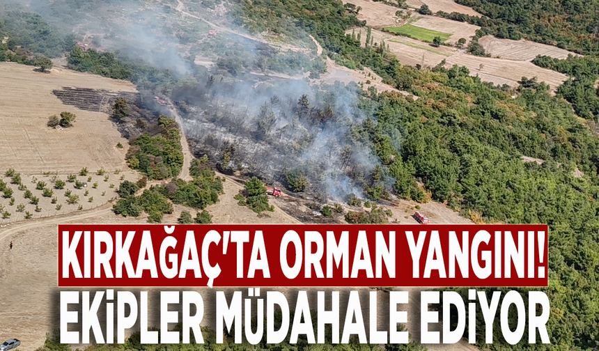 Kırkağaç'ta orman yangını! Ekipler müdahale ediyor