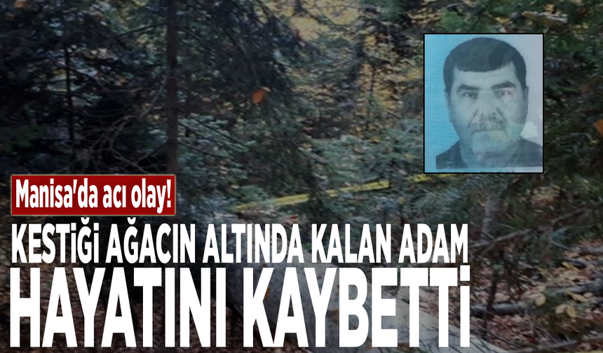 Manisa'da acı olay! Kestiği ağacın altında kalan adam hayatını kaybetti