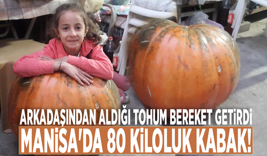 Arkadaşından aldığı tohum bereket getirdi: Manisa'da 80 kiloluk kabak!