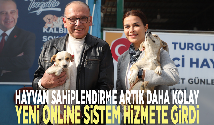 Hayvan sahiplendirme artık daha kolay: Yeni online sistem hizmete girdi