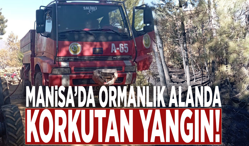 Manisa’da ormanlık alanda korkutan yangın!