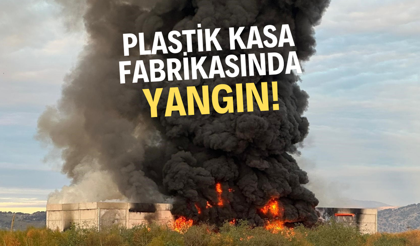 Plastik kasa fabrikasında yangın