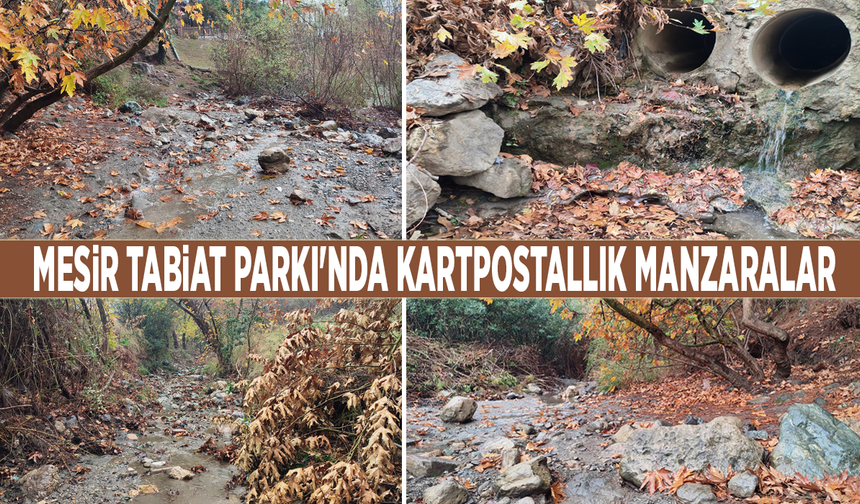 Mesir Tabiat Parkı'nda kartpostallık manzaralar