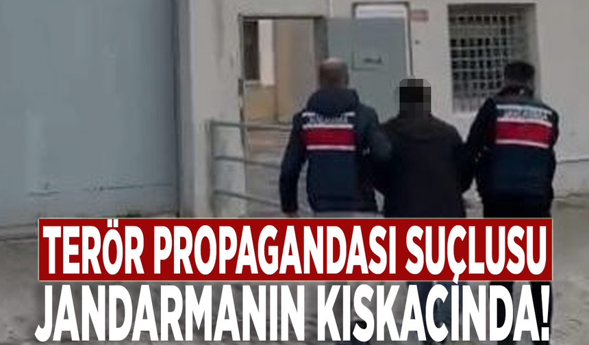 Terör propagandası suçlusu jandarmanın kıskacında!