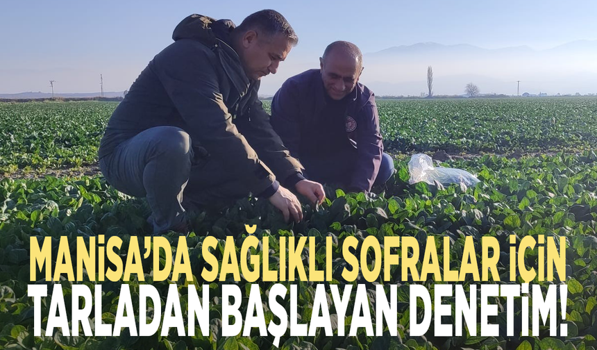 Sağlıklı sofralar için Manisa'da tarladan başlayan denetim!