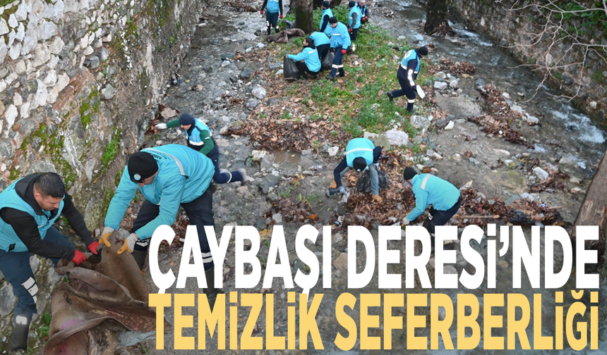 Çaybaşı Deresi’nde temizlik seferberliği