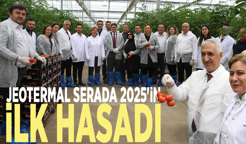 Jeotermal serada 2025'in ilk hasadı