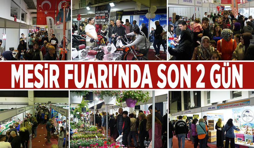 Mesir Fuarı'nda son 2 gün