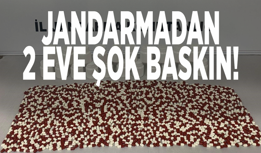 Jandarmadan 2 eve şok baskın!