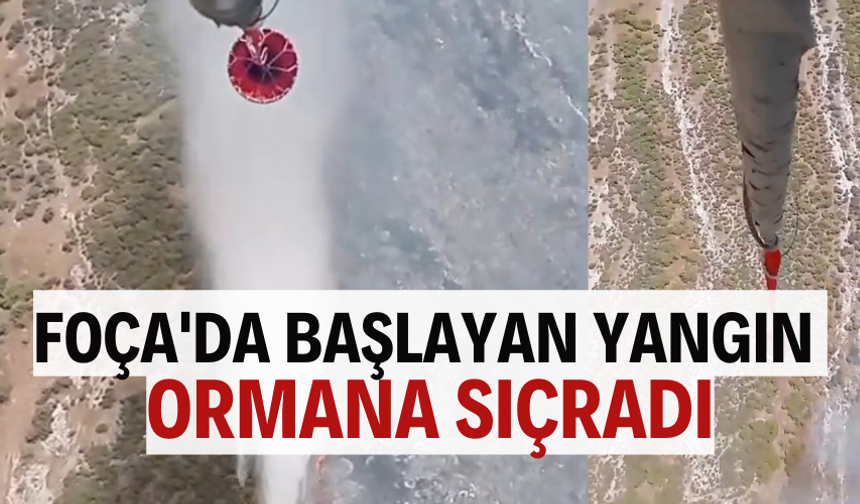Foça'da başlayan yangın ormana sıçradı