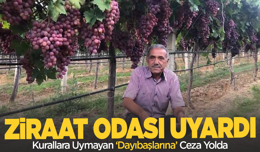 Sarıgöl Ziraat Odası’ndan Uyarı: Kurallara Uymayan Dayıbaşlarına Ceza Yolda