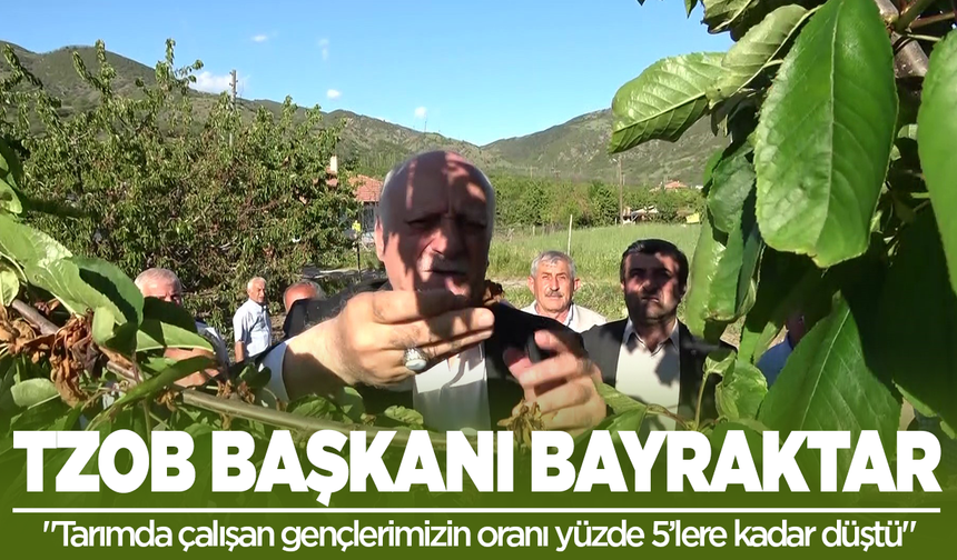 TZOB Genel Başkanı Bayraktar: "Tarımda çalışan gençlerimizin oranı yüzde 5’lere kadar düştü"