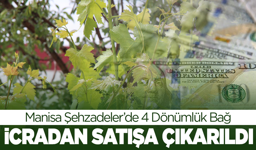 Manisa Şehzadeler’de 4 Dönümlük Bağ İcradan Satışa Çıkarıldı