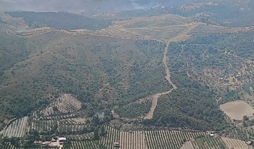 Orman yangını kontrol altında