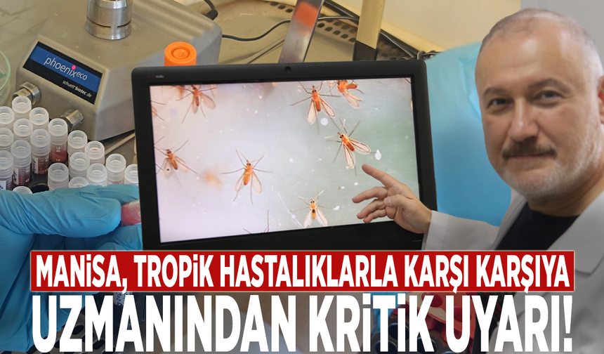 Manisa, tropik hastalıklarla karşı karşıya: Uzmanından kritik uyarı!