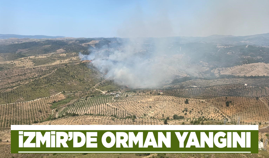 İzmir'de ormanlık alanda yangın çıktı!