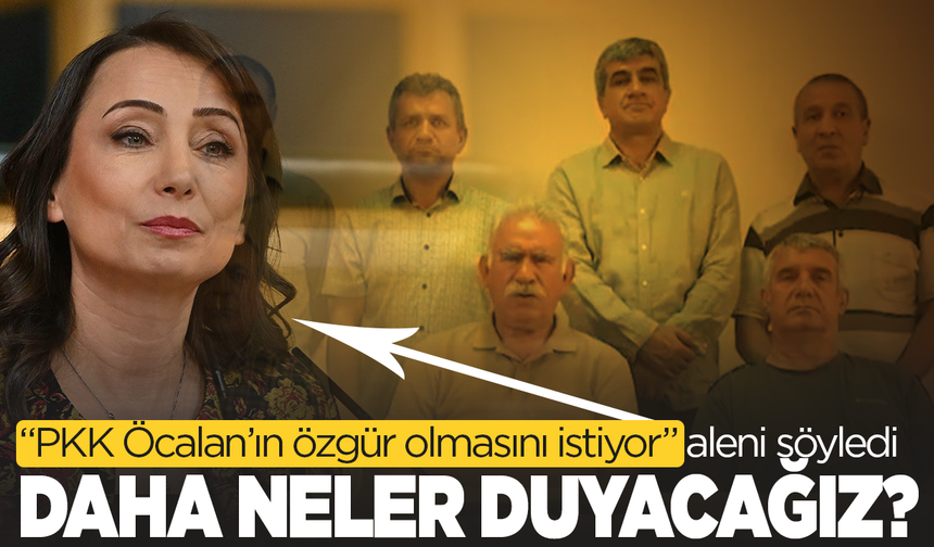 DEM Parti Eş Genel Başkanı Hatimoğulları: PKK, Öcalan'ın özgür olmasını istiyor