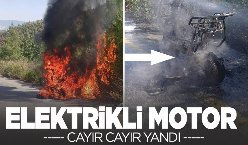 Manisa’da elektrikli motor alevlere teslim oldu