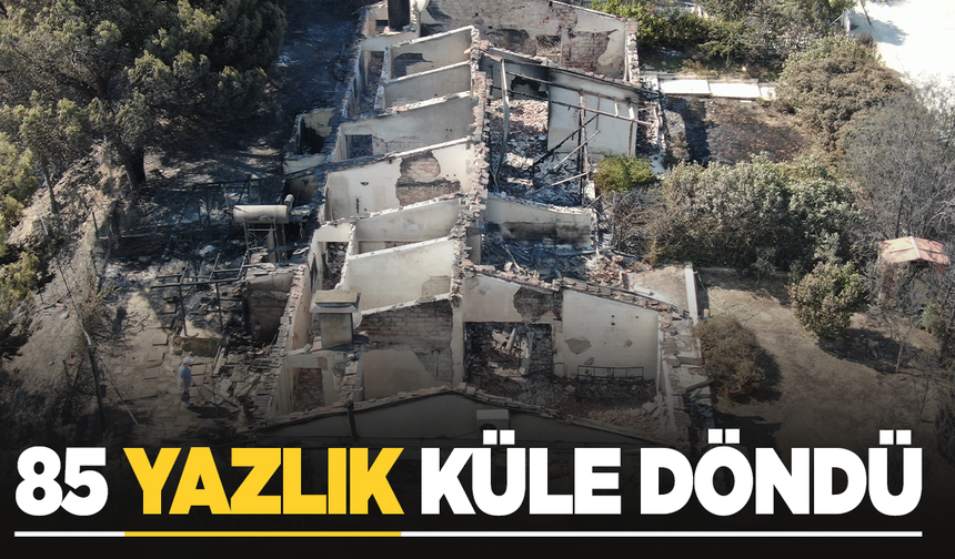 İzmir’deki yangında 85 yazlık ev küle döndü