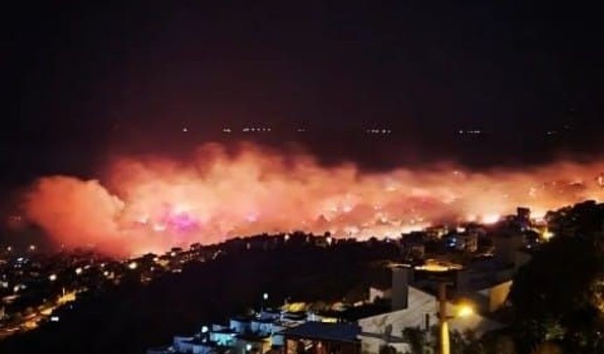 Yangında 7 ev küle döndü