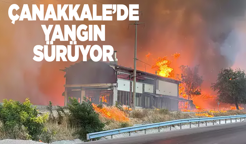 Çanakkale'de orman yangını:Çok sayıda mahalle tahliye edildi