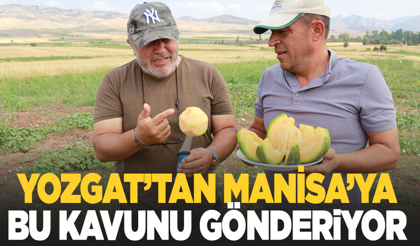 Yozgat'tan Manisa'ya 'Bağrıbütün Kavunu' gönderiyor