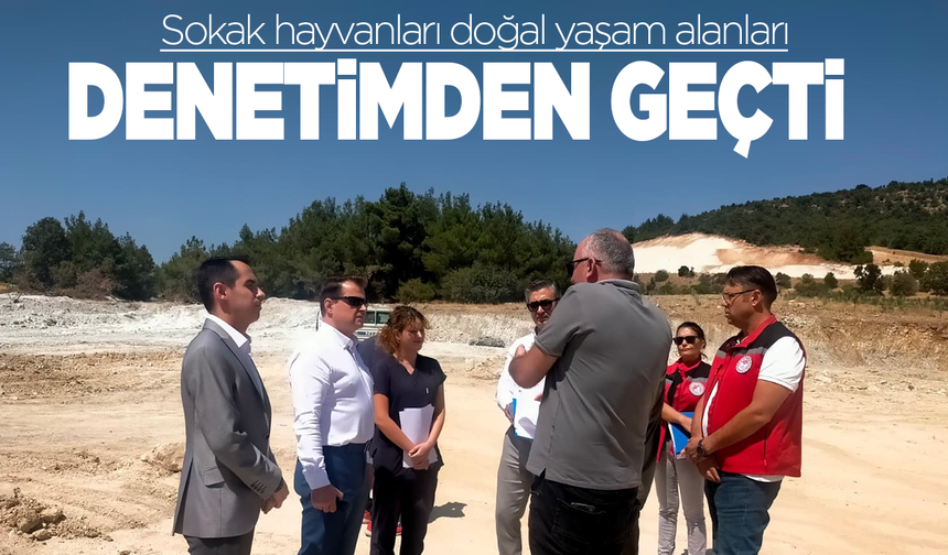 Sokak hayvanları doğal yaşam alanlarına denetim