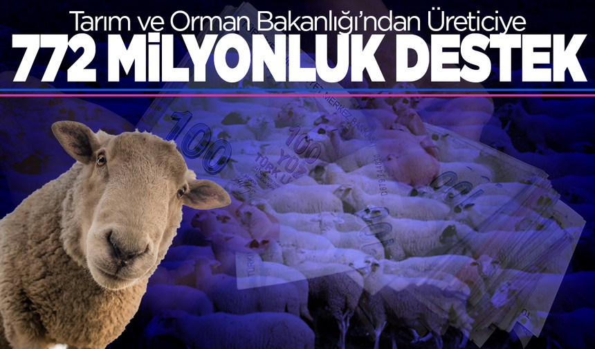 Çiftçilere 772 Milyon 805 Bin TL Destekleme Ödemesi