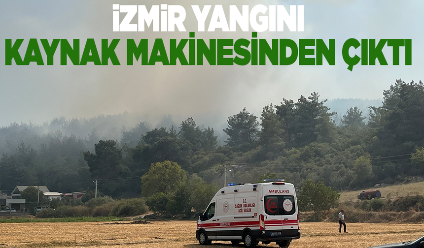 İzmir'deki orman yangınıyla ilgili 3 gözaltı