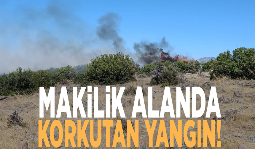 Makilik alanda korkutan yangın!