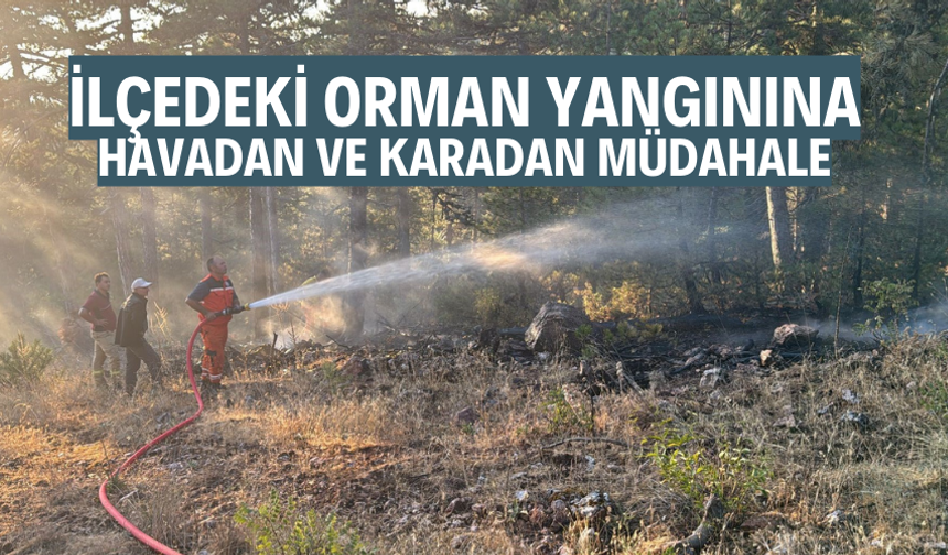 İlçedeki orman yangınına havadan müdahale