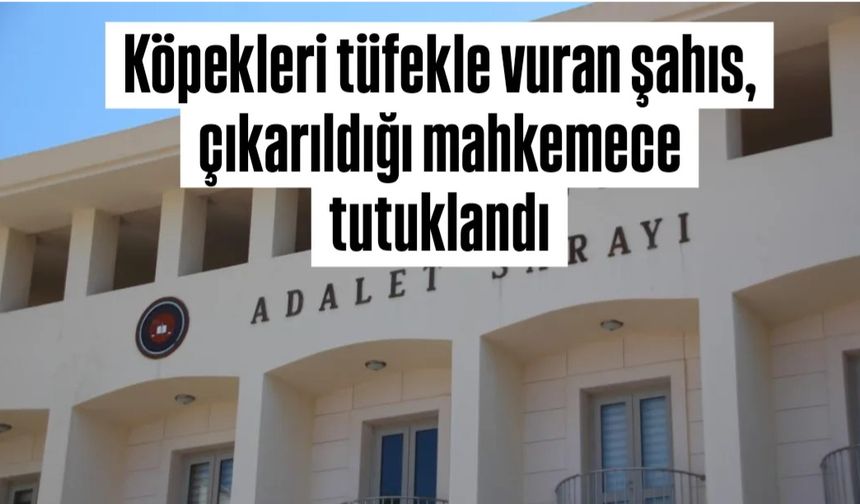 Yavru kopekleri tüfekle vuran şahıs tutuklandı