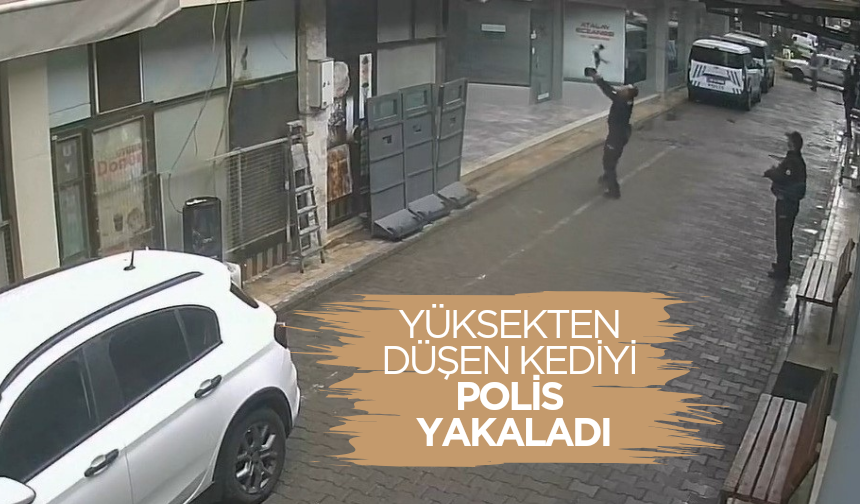 Manisa’da yürekleri ısıtan anlar: Yüksekten düşen kediyi polis yakaladı