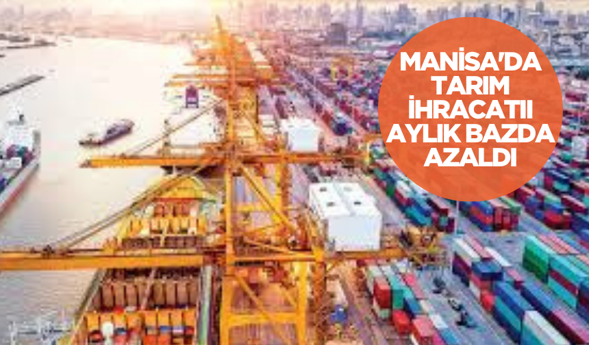 Manisa’da tarım ihracatı aylık bazda azaldı