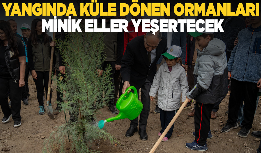 Yangında küle dönen ormanları minik eller yeşertecek