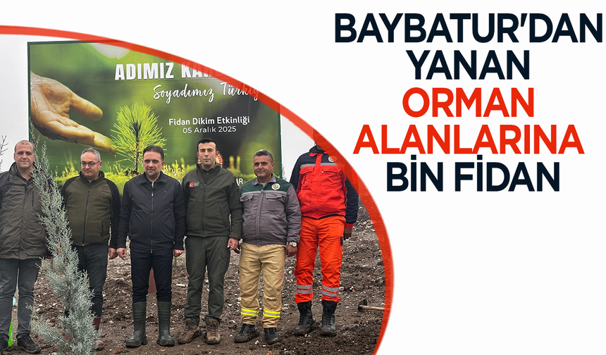 Baybatur'dan yanan orman alanlarına bin fidan