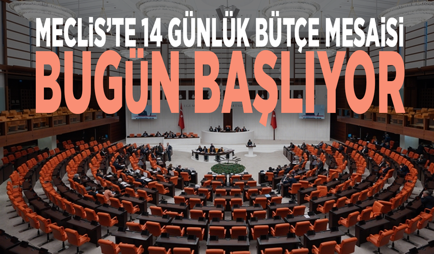 Meclis’te 14 günlük bütçe mesaisi bugün başlıyor