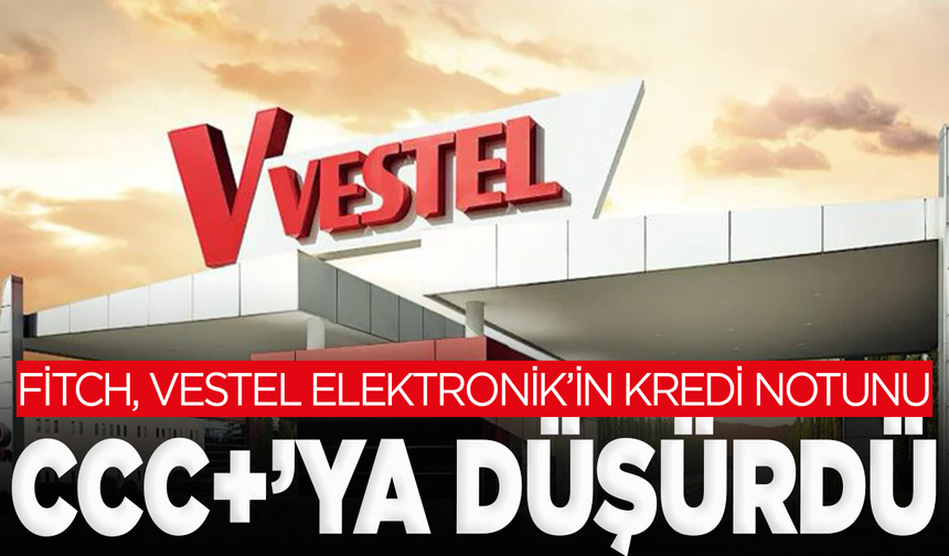 Fitch, Vestel Elektronik’in Kredi Notunu CCC+’ya Düşürdü