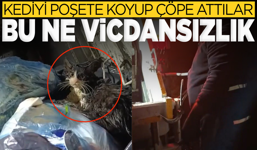 Kedi belediye personelinin dikkati sayesinde kurtarıldı