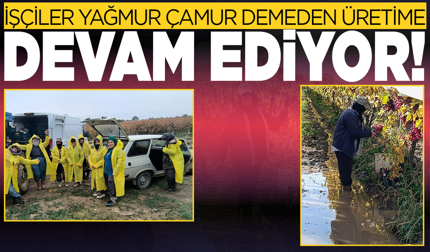 İşçiler yağmur ve çamuru aldırış etmeden üretime devam ediyor
