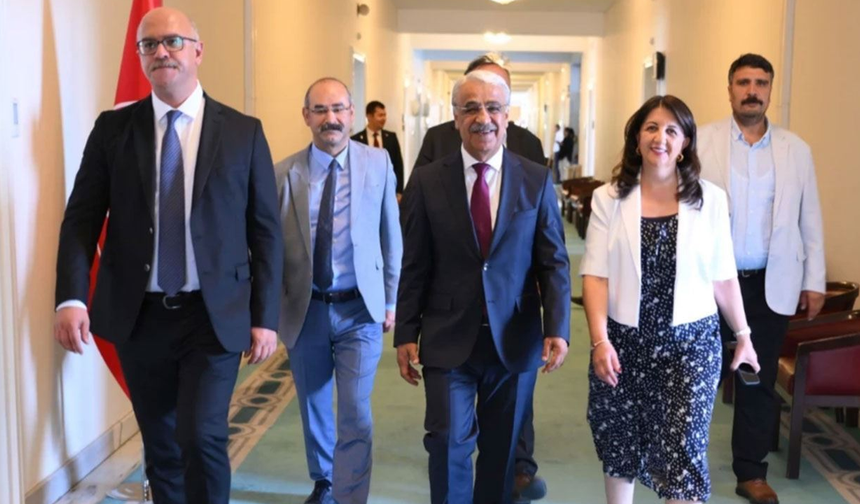 DEM Parti Heyeti İmralı'ya gitti