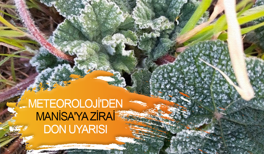 Meteoroloji'den Manisa'ya zirai don uyarısı