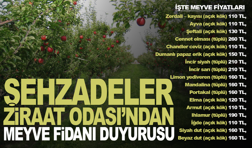 Şehzadeler Ziraat Odası’ndan Meyve Fidanı Duyurusu